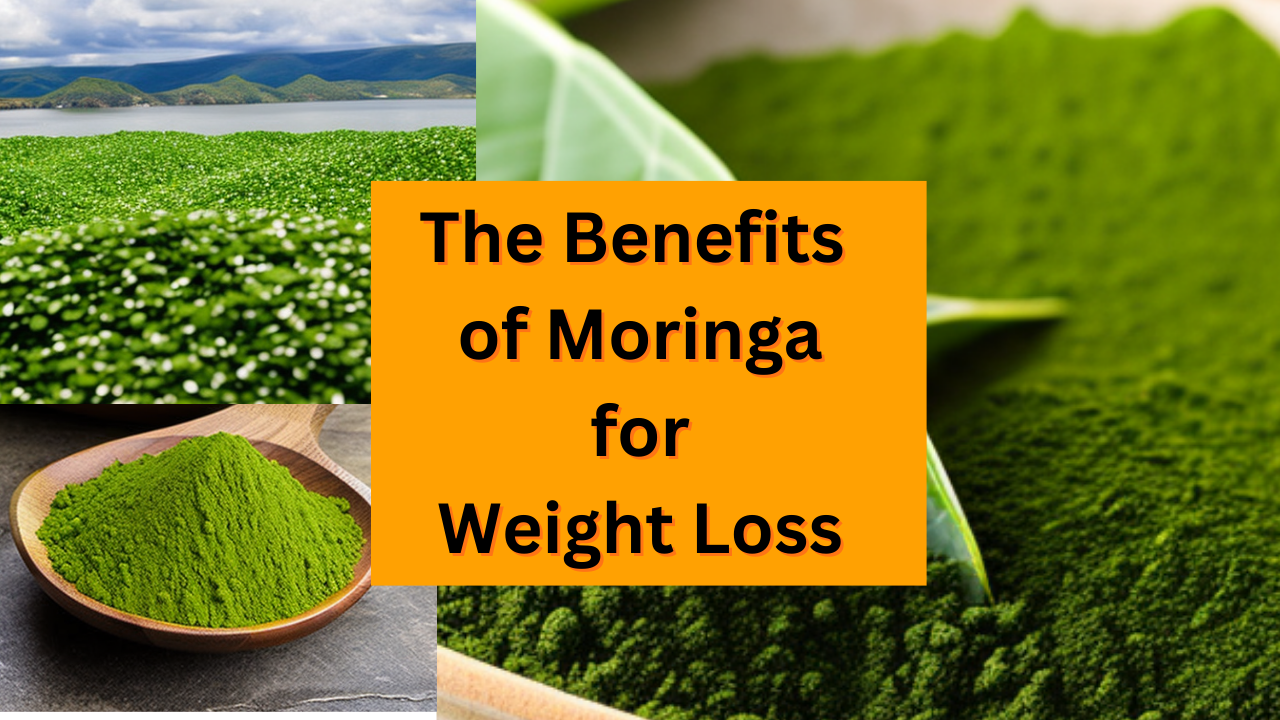 The Benefits of Moringa for Weight Loss