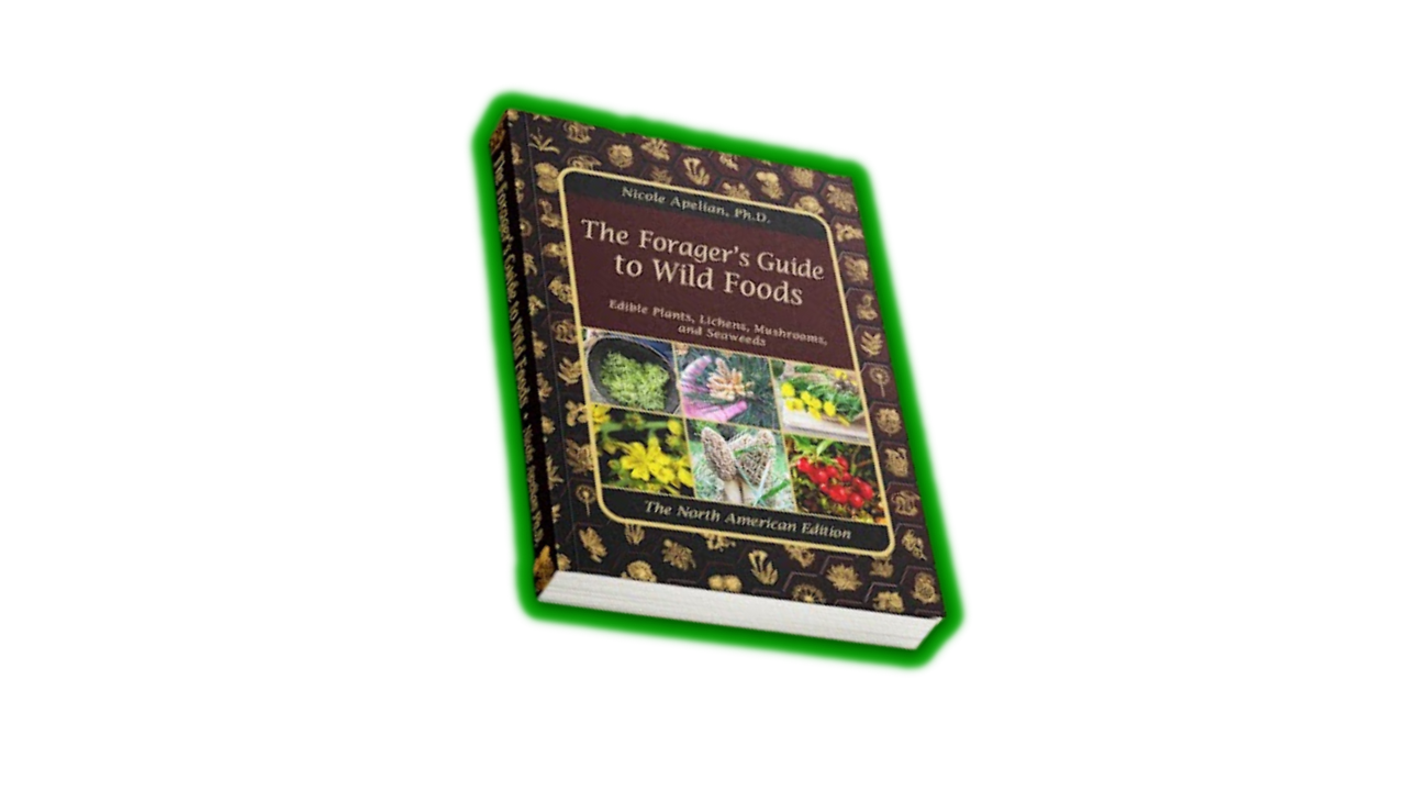 THE FORAGERS GUIDE TO BUILD FOODS REVIEWS