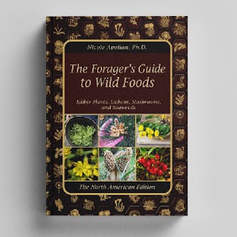 the forager's guide to wild foods 
