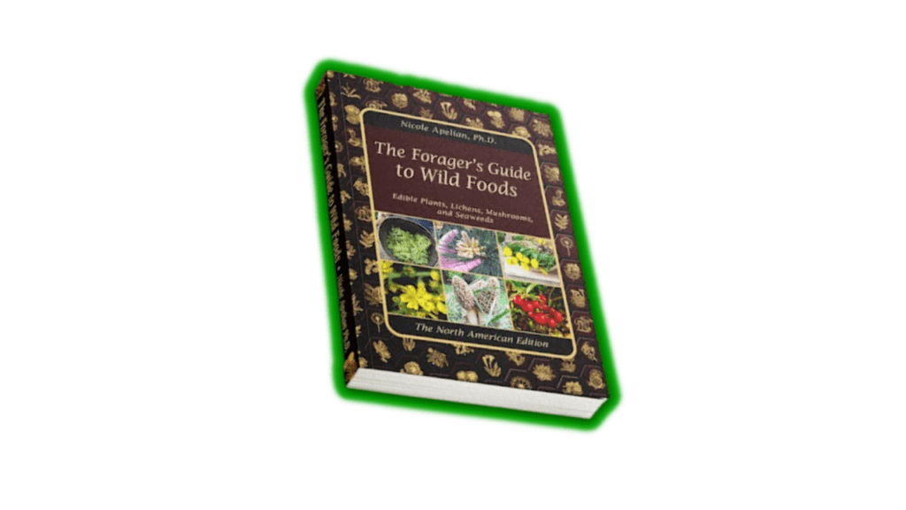 THE FORAGERS GUIDE TO BUILD FOODS REVIEWS