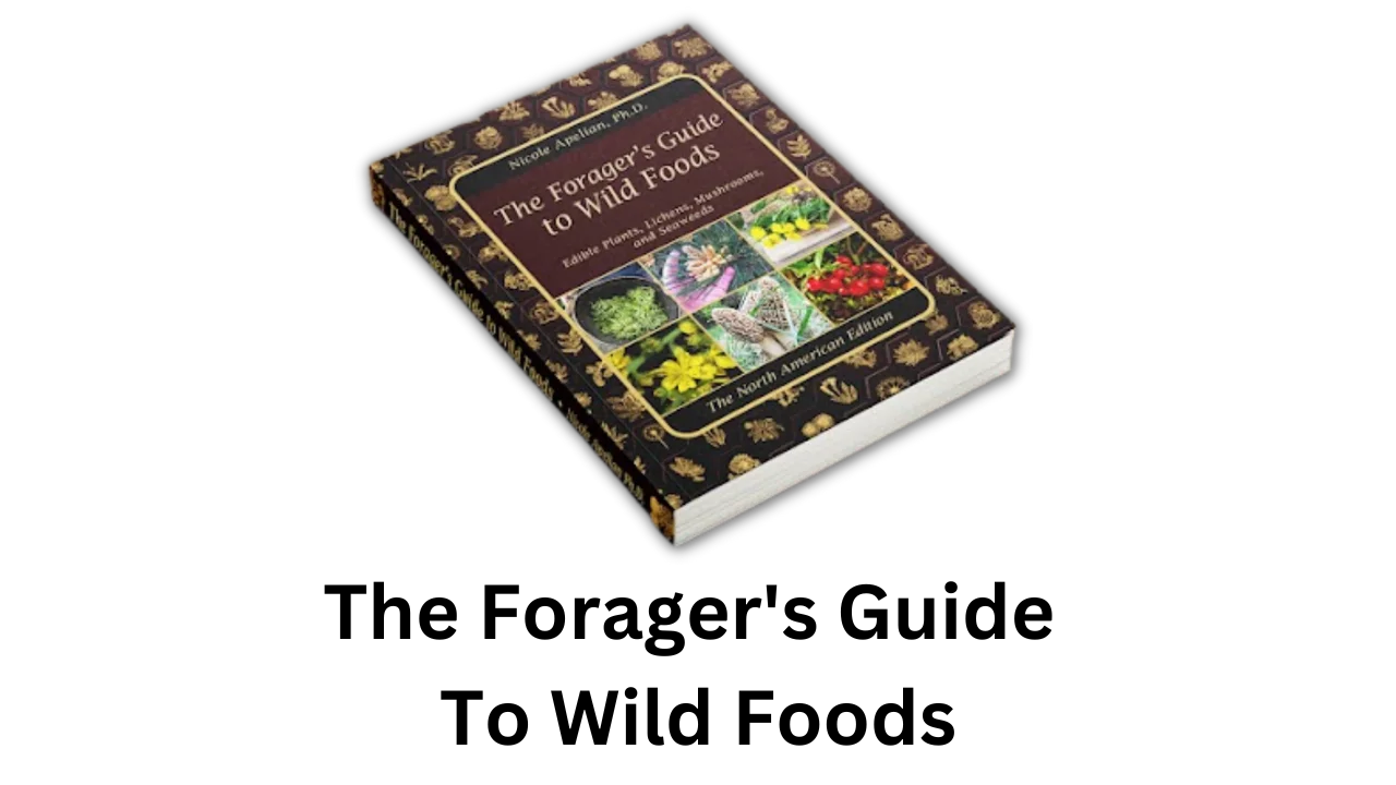Discover the Art of Foraging: The Ultimate Guide to Wild Foods Discover the Art of Foraging: The Ultimate Guide to Wild Foods