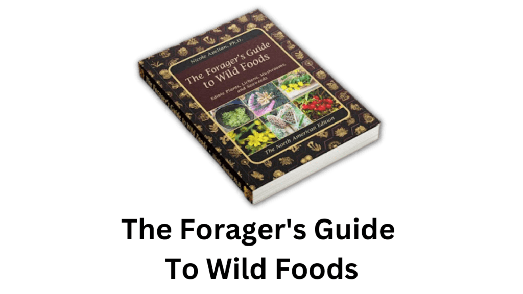 Discover the Art of Foraging: The Ultimate Guide to Wild Foods Discover the Art of Foraging: The Ultimate Guide to Wild Foods